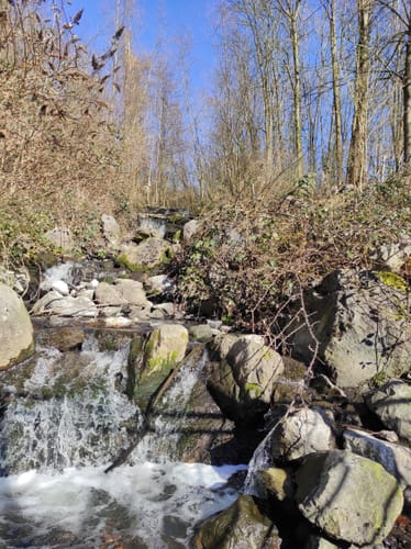 Kleine Schweiz - Schlammteich Rundwanderung