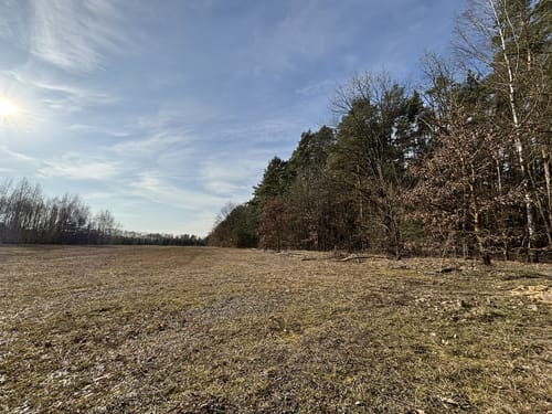 Rundwanderung entlang des Treptowsees