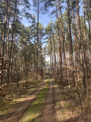 Rundwanderung entlang des Treptowsees