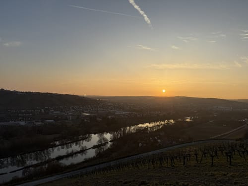 Weinberge bei Randersacker