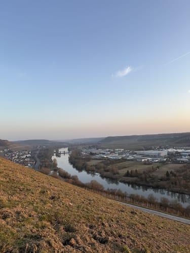 Weinberge bei Randersacker