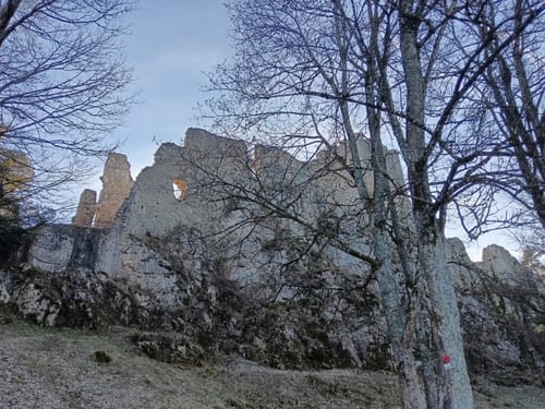 Falkenstein zur Burg Weissenstein