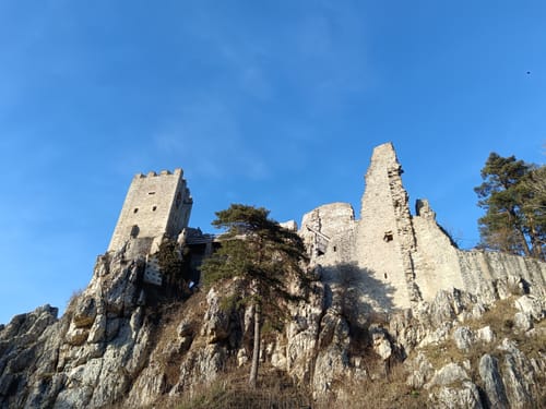 Falkenstein zur Burg Weissenstein