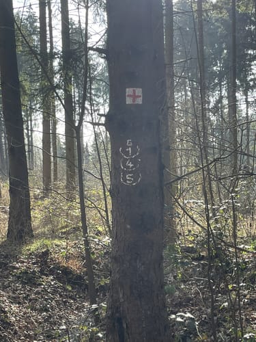 Rund um Gaiberg