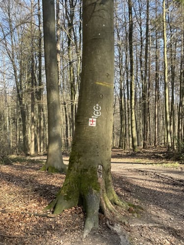 Rund um Gaiberg