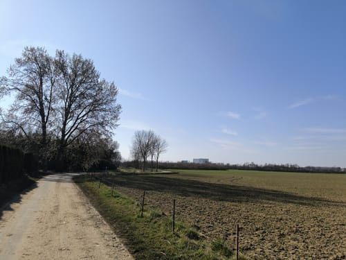 Weilerswist: Eifelspur Zwischen Ville und Eifel
