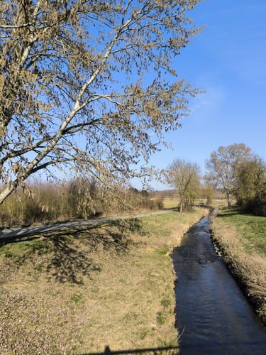 Weilerswist: Eifelspur Zwischen Ville und Eifel