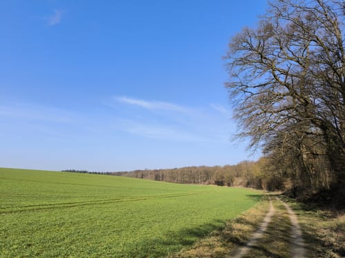Weilerswist: Eifelspur Zwischen Ville und Eifel