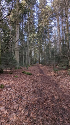 Zollernblickweg (Premiumspazierwanderweg)