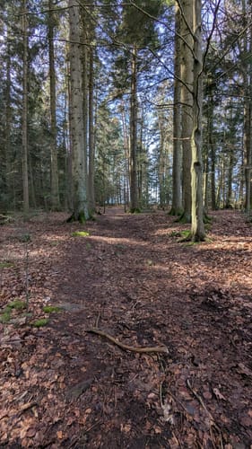 Zollernblickweg (Premiumspazierwanderweg)