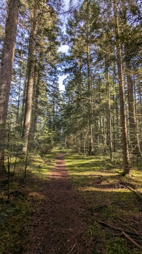 Zollernblickweg (Premiumspazierwanderweg)
