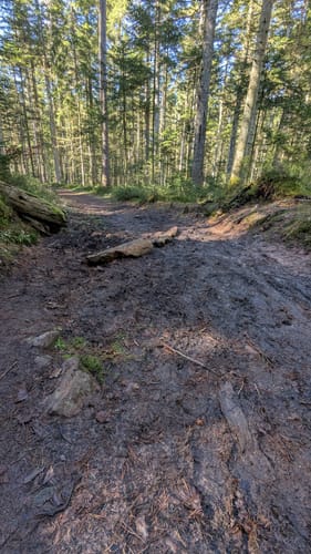 Zollernblickweg (Premiumspazierwanderweg)