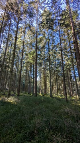 Zollernblickweg (Premiumspazierwanderweg)