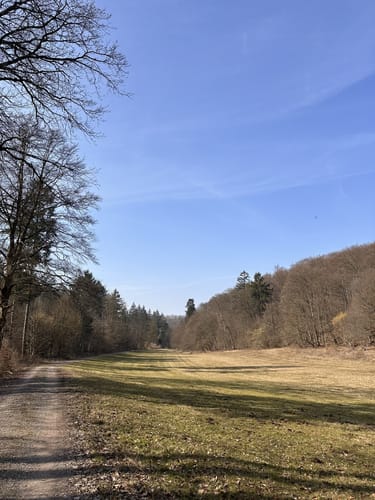 BL1 (Leichte Sonntagstour)
