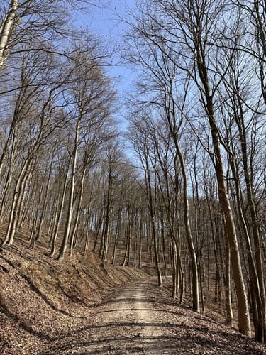 BL1 (Leichte Sonntagstour)