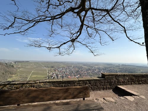 Panoramaweg (Klingenmünster)