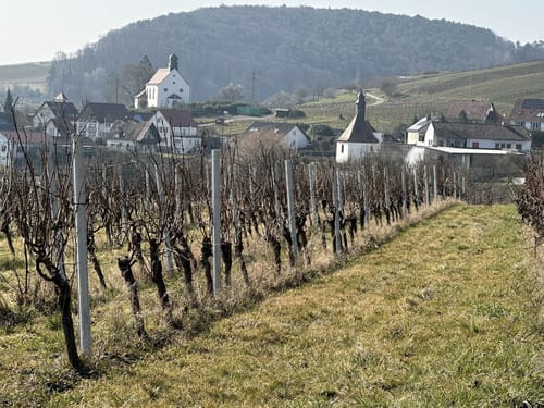 Panoramaweg (Klingenmünster)