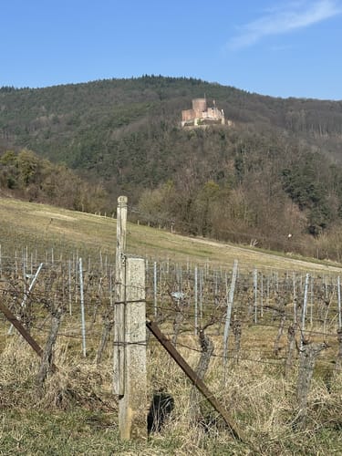 Panoramaweg (Klingenmünster)