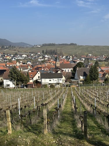 Panoramaweg (Klingenmünster)