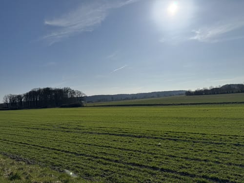 Billerbeck-Nottuln