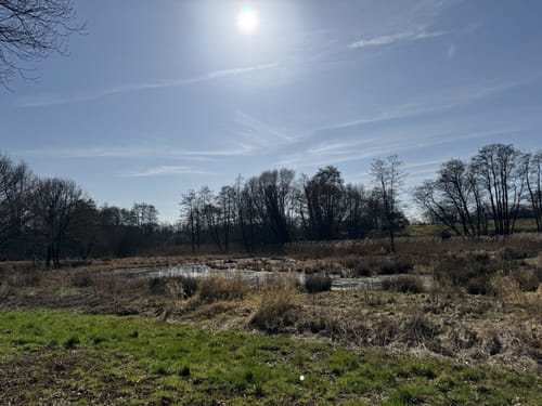 Billerbeck-Nottuln