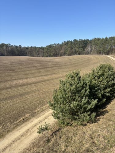 Rundweg Schöpfungspfad