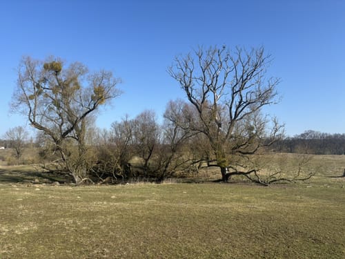 Rundweg Schöpfungspfad