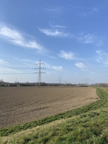 Von der Bürgerheide entlang dem Rhein