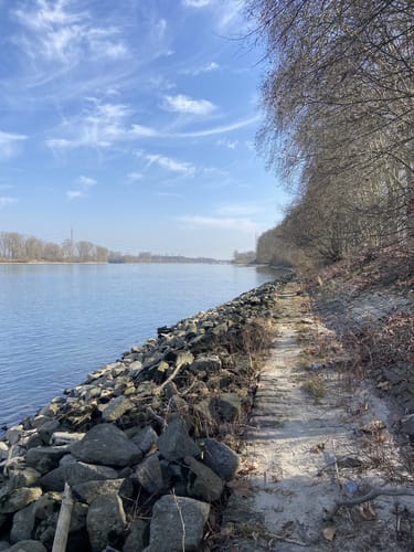Von der Bürgerheide entlang dem Rhein