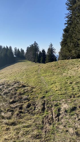 Himmelsstürmer-Route Etappe 11: Bühl am Alpsee/ Immenstadt - Oberstaufen