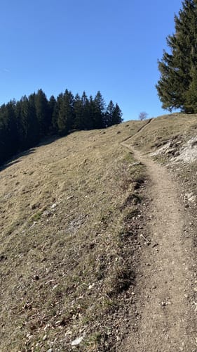 Himmelsstürmer-Route Etappe 11: Bühl am Alpsee/ Immenstadt - Oberstaufen