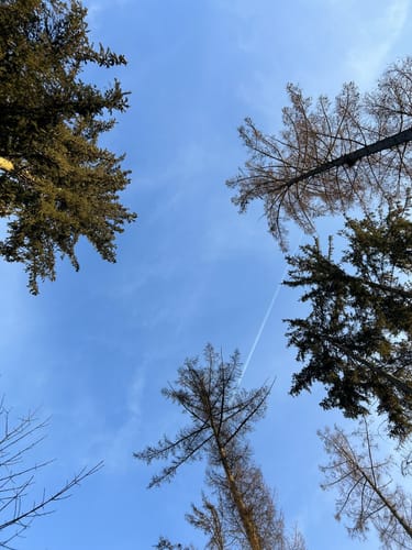 Ilmmünsterer Wege (kurze Variante)