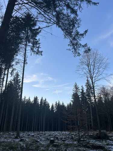 Ilmmünsterer Wege (kurze Variante)