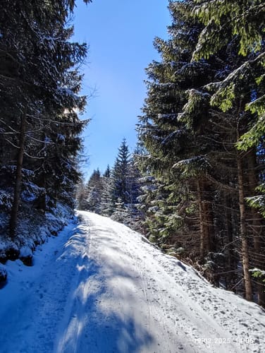 Zinnwald Loipe