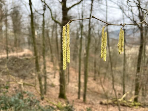 Oberer Mühlweg und Teufelslochweg