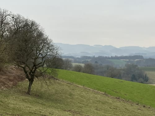 Oberer Mühlweg und Teufelslochweg