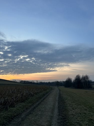 Reichertshausen-Ilmmünster-Weg