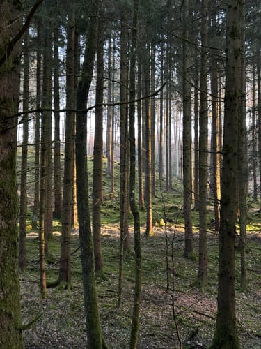 Reichertshausen-Ilmmünster-Weg
