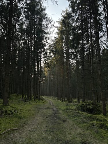 Reichertshausen-Ilmmünster-Weg