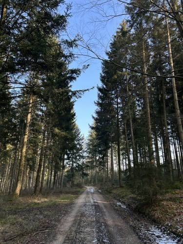 Reichertshausen-Ilmmünster-Weg