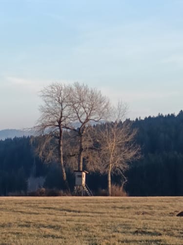 Falkenstein zur Burg Weissenstein