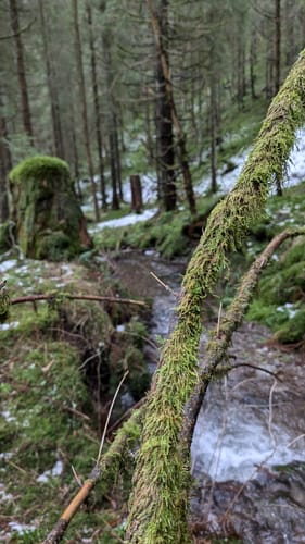 Vorsperre Gräftiegel ab Siegmundsburg