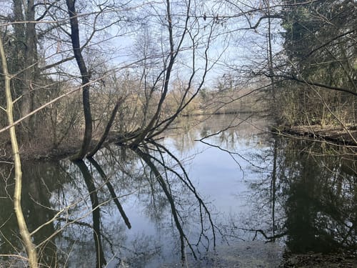 Gruiten und Schöller