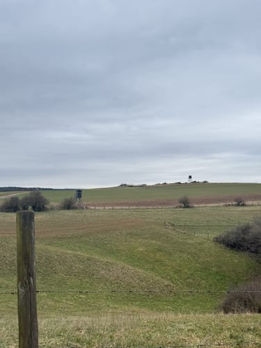 Landscheid 6