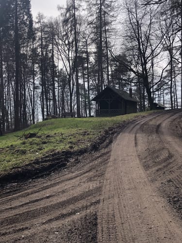 Rundwanderweg Hirschhorn 4: Talskopf-Weg