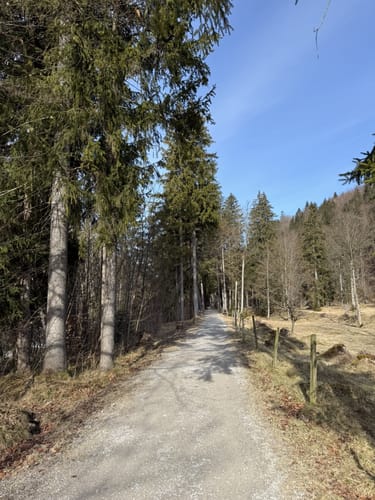Naturschauspiel Kreuth - Der Wassererlebnisweg an der Weißach