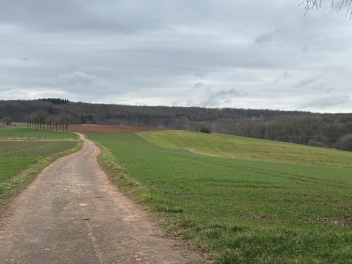 Hootzemonn-Weg