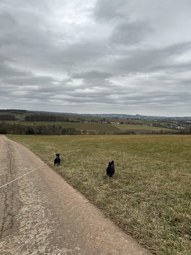 Hootzemonn-Weg