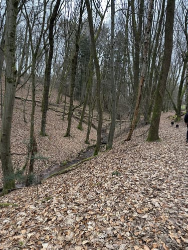 Hootzemonn-Weg