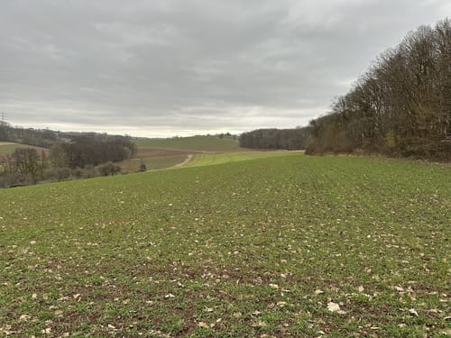 Hootzemonn-Weg